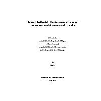 Thumbnail for Chiral Colloidal Membranes: …
