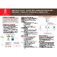 Thumbnail for Supervised Exercise Therapy …